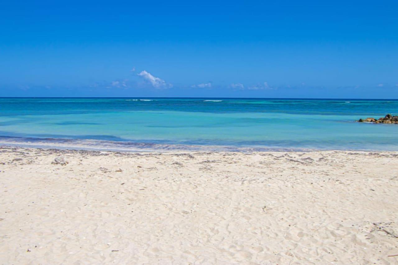 Malibu Ocean View Studio Apartment Montego Bay Exterior photo